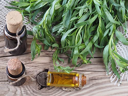 Herb Plants - Tarragon - 2 x Full Plants in 9cm Pots