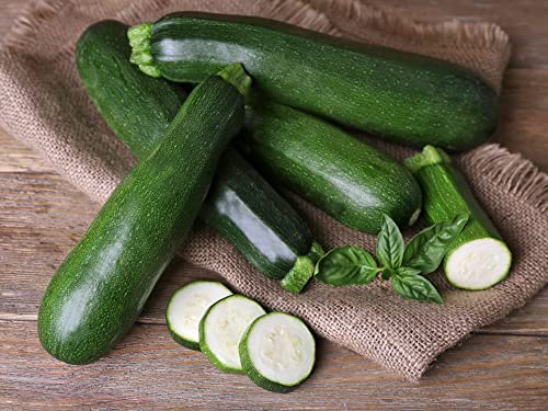 Vegetable Plants - Courgette 'Ambassador' - Garden Ready - 4 x Full Plants in 9cm Pots
