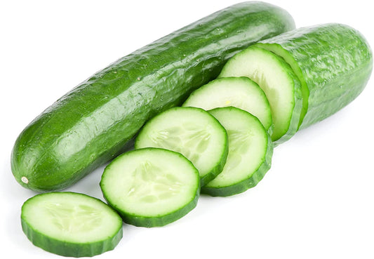 Vegetable Plants - Cucumber 'Tribute' - 9 x Plug Plant Pack