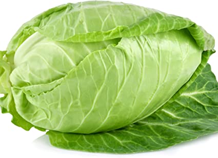 Vegetable Plants Mixed Multi-Pack Bundle - Cabbages + Cauliflowers + Broccoli + Kale + Spinach + Lettuce - 36 x Plug Plant Pack