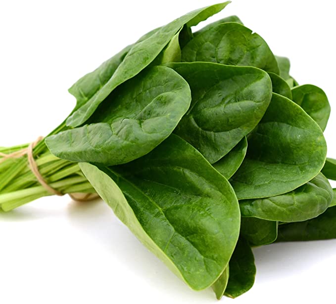 Vegetable Plants Mixed Multi-Pack Bundle - Brussels Sprouts + Cabbages + Cauliflowers + Spinach - 48 x Plug Plant Pack