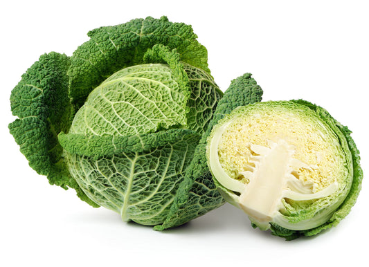 Cabbage 'Serpentine' - 12 x Plug Plant Pack