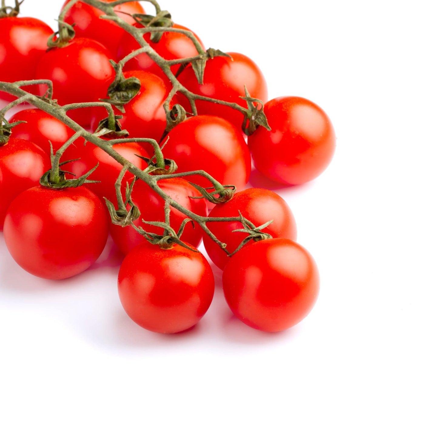 Tomato 'Tumbler' - 1 x Full Plant in a 9cm Pot