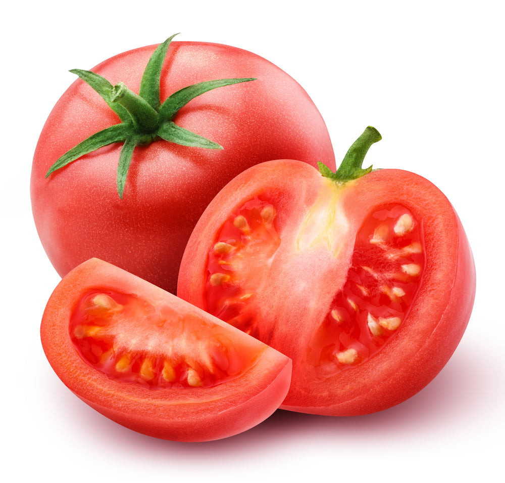 Tomato 'Alicante' - Full Plants in 9cm Pots