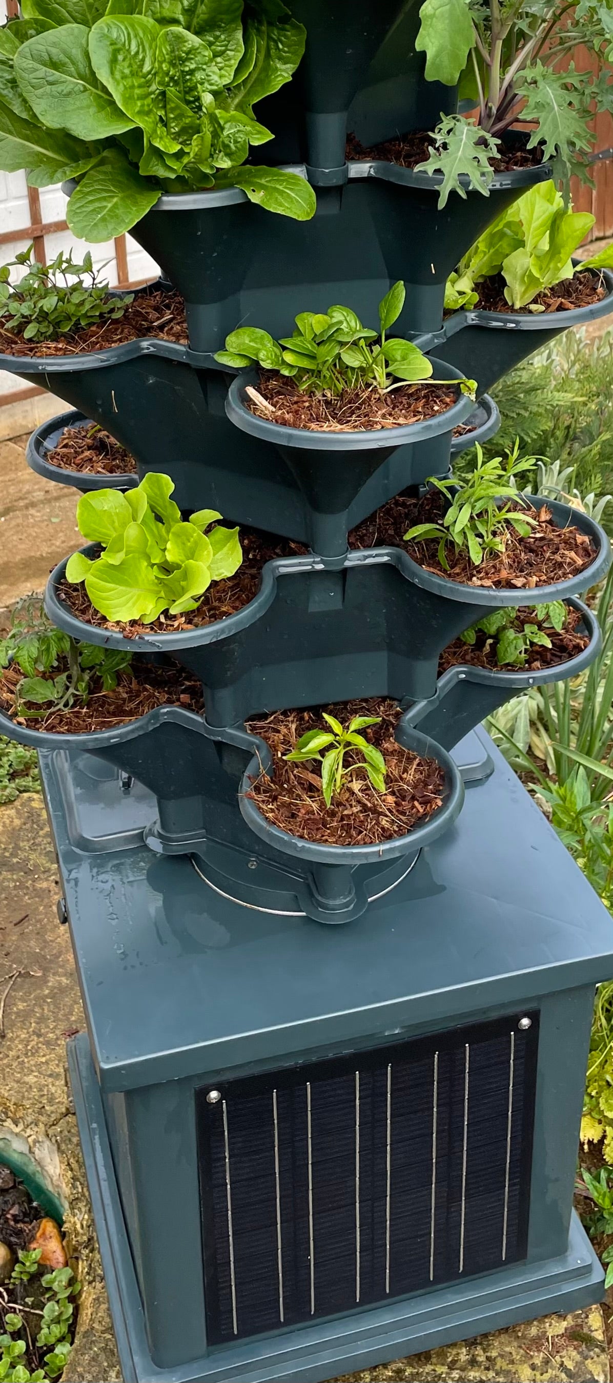 Acqua Garden 2 - Automated Solar Powered Self-Watering Vertical Growing System - 'Garden in a Box'