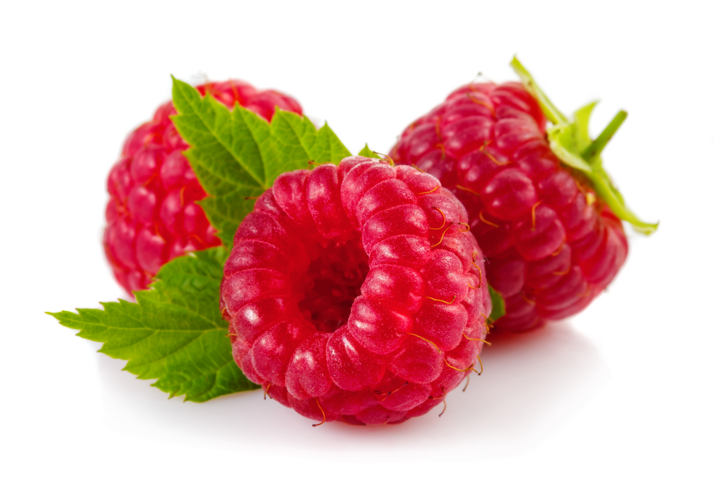 Fruit Plants - Raspberry 'Cascade Delight' - 1 x Bare Rooted Plant