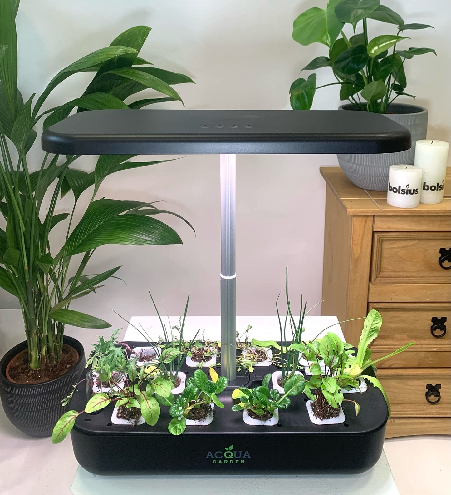 Acqua Smart Garden 3.0 - Complete Grow Your Own Package - AcquaGarden