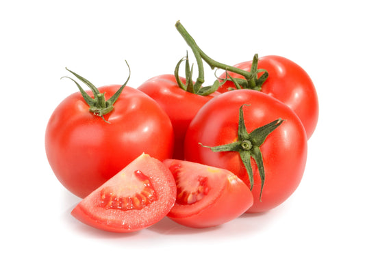 Tomato 'Alicante' - Full Plants in 9cm Pots