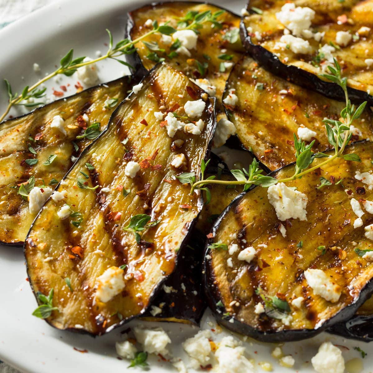 Aubergine - Moneymaker - 18 x Plug Plant Pack - AcquaGarden