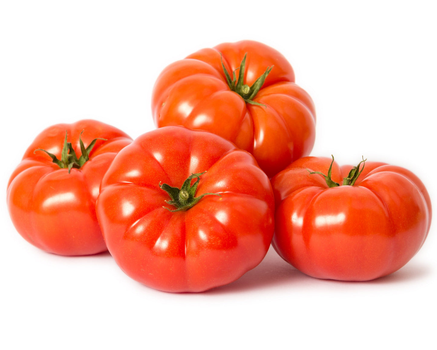 Tomato 'Beefsteak' - 1 x Large Plant in a 9cm Pot