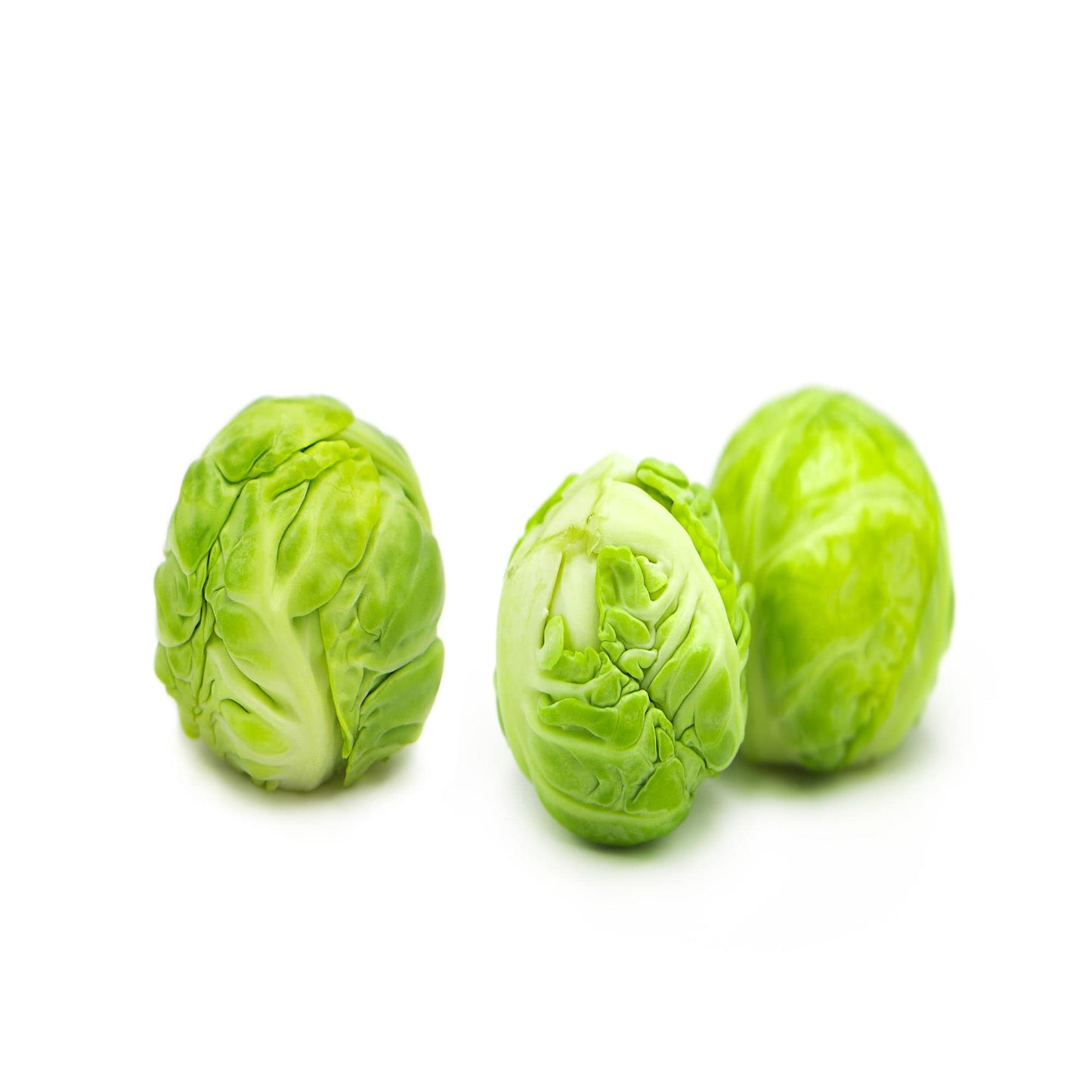 Brussels Sprouts 'Brigitte' - 12 x Plug Plant Pack - AcquaGarden
