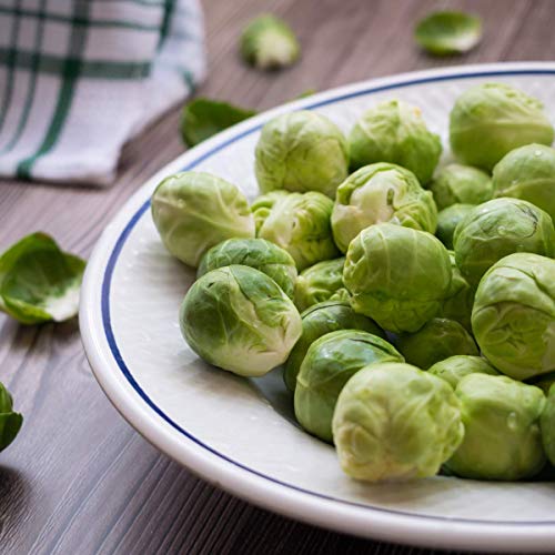 Brussels Sprouts 'Brigitte' - 18 x Plug Plant Pack - AcquaGarden