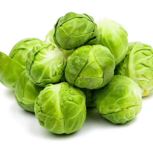 Brussels Sprouts - Brigitte - 6 x Full Plants - AcquaGarden
