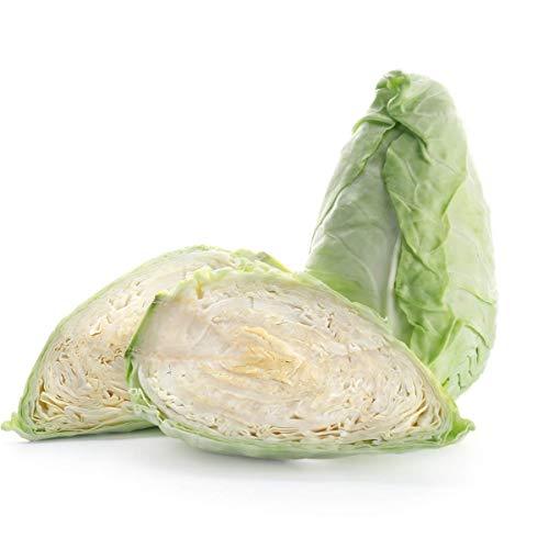 Cabbage 'Hispi Sweetheart' - 6 x Plug Plant Pack - AcquaGarden