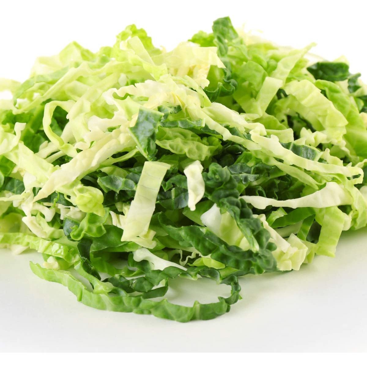 Cabbage - Savoy - 18 x Plug Plant Pack - AcquaGarden