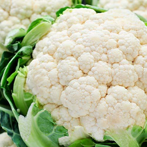 Cauliflower 'Seoul' - 6 x Pug Plant Pack - AcquaGarden