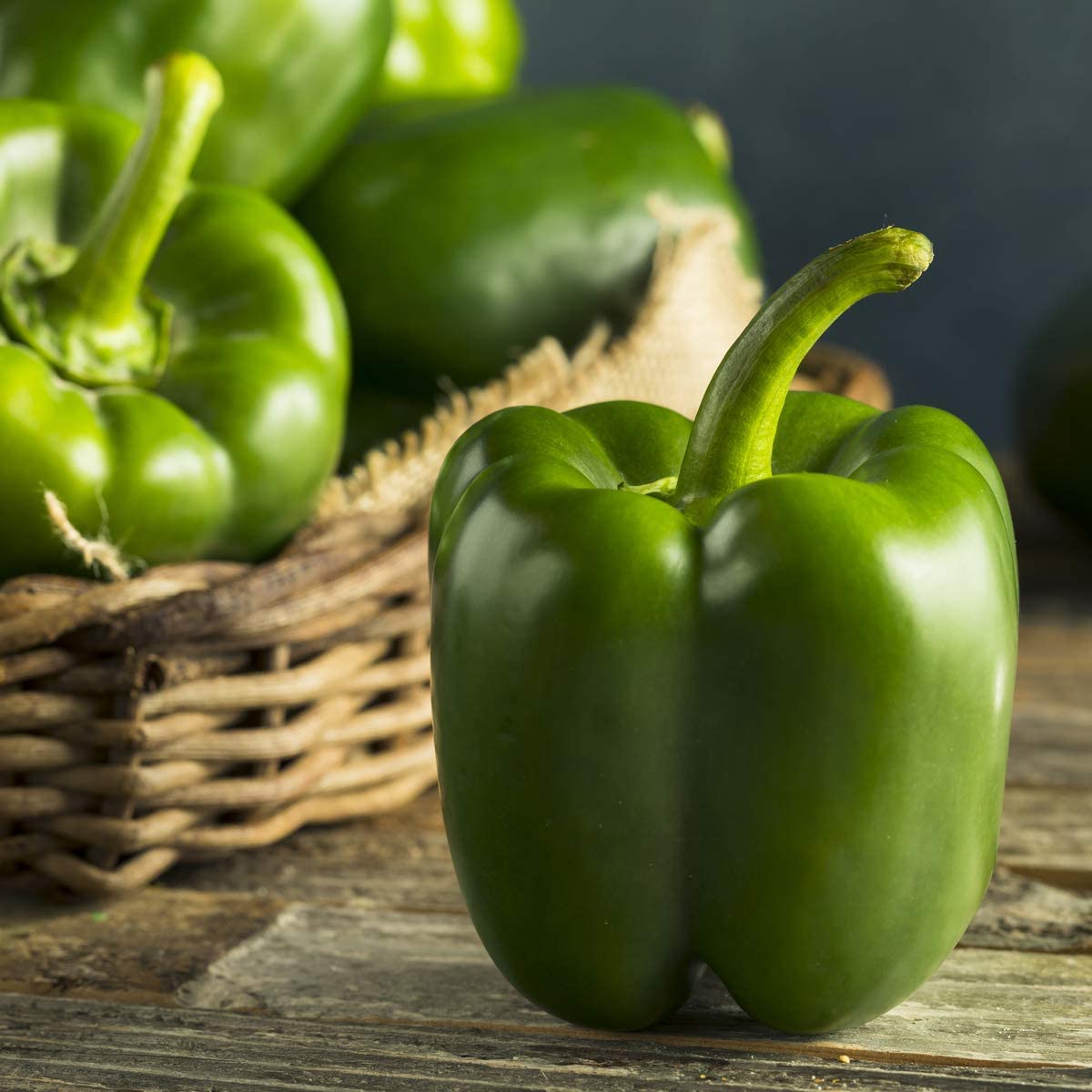 Chilli Pepper Gusto Green - 6 x Plug Plants - AcquaGarden