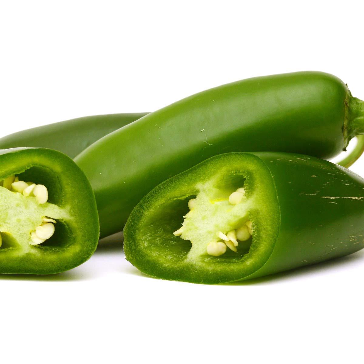 Chilli Pepper Plants - 'Giant Jalapeno' - 12 x Plug Plant Pack - AcquaGarden