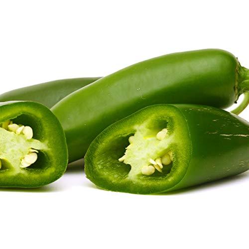 Chilli Pepper Plants - 'Giant Jalapeño' - 6 x Plug Plant Pack - AcquaGarden