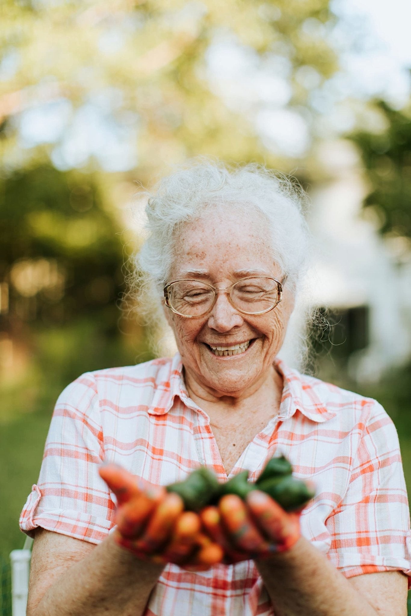 Chilli Pepper Plants - 'Giant Jalapeño' - 6 x Plug Plant Pack - AcquaGarden
