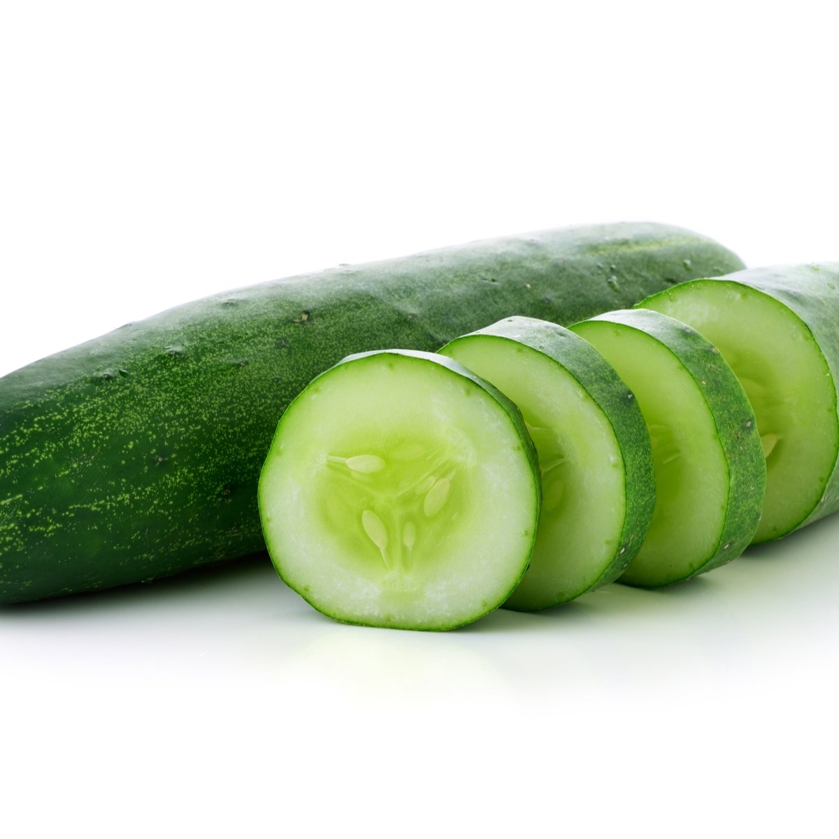 Cucumber 'Tribute' - 12 x Plug Plant Pack - AcquaGarden