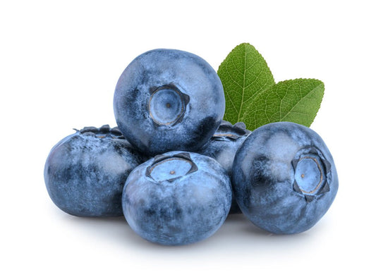 Fruit Plants - Blueberry 'Sunshine Blue' - 2 x Large Plants in 9cm Pots - AcquaGarden