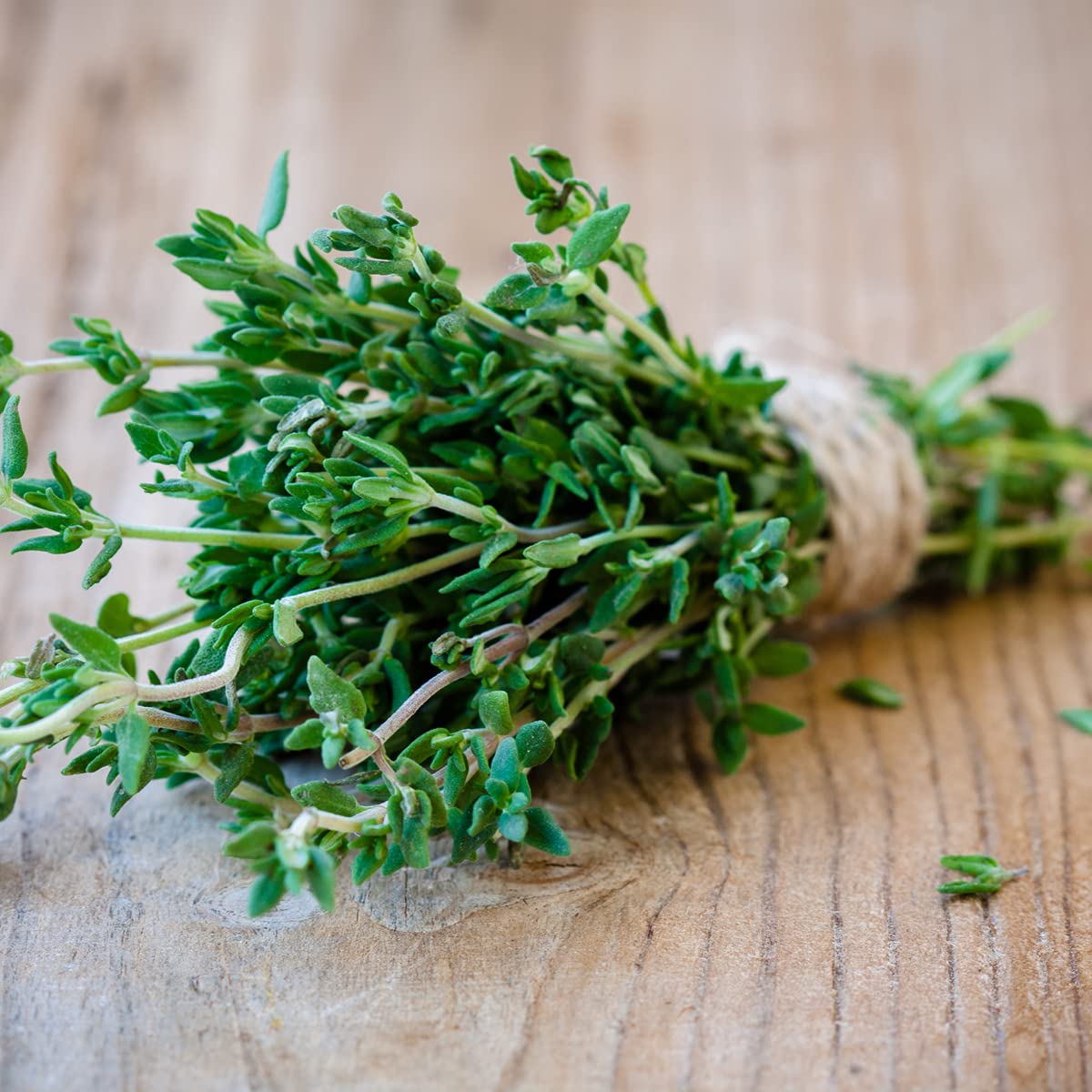 Herb Plants Mixed Selection - Parsley, Sage, Rosemary and Thyme - 12 x Plug Plant Pack - AcquaGarden