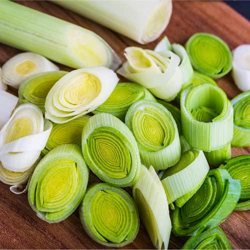 Leek 'Jolant' - 18 x Plug Plant Pack - AcquaGarden