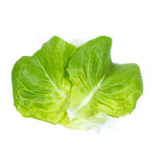 Lettuce 'Butterhead' - 12 x Plug Plant Pack - AcquaGarden
