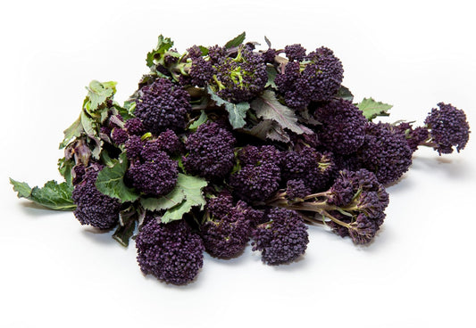 Purple Sprouting Broccoli - 6 x Plug Plant Pack - AcquaGarden