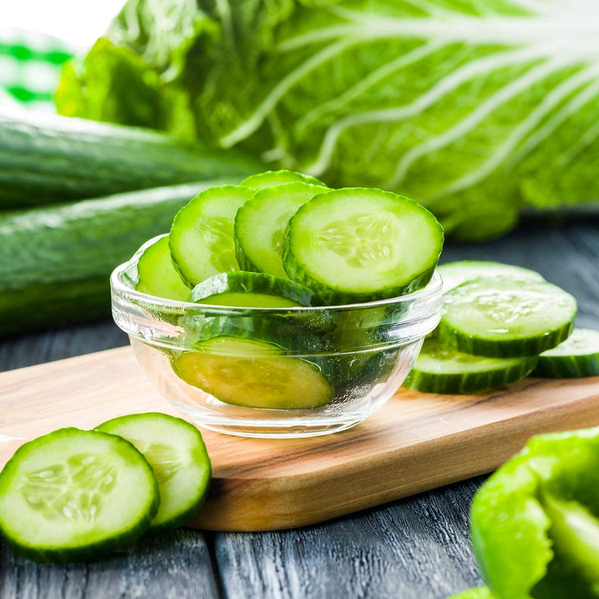 Salad Plants Combo - Tomato and Cucumber -12 x Plug Plant Pack - AcquaGarden