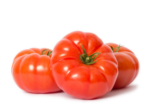Tomato 'Beefsteak' - 1 x Large Plant in a 9cm Pot
