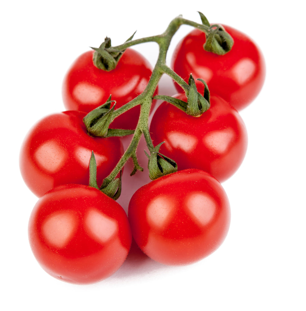 Tomato Plant Mixed Pack - 'Gardener's Delight' and 'Tumbling Tom Red' - 6 x Large Plants in 9cm Pots