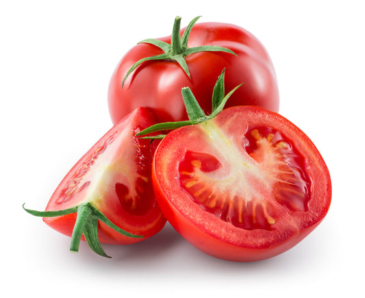 Tomato 'Gardeners Delight' - 4 x Full Plants in 9cm Pots