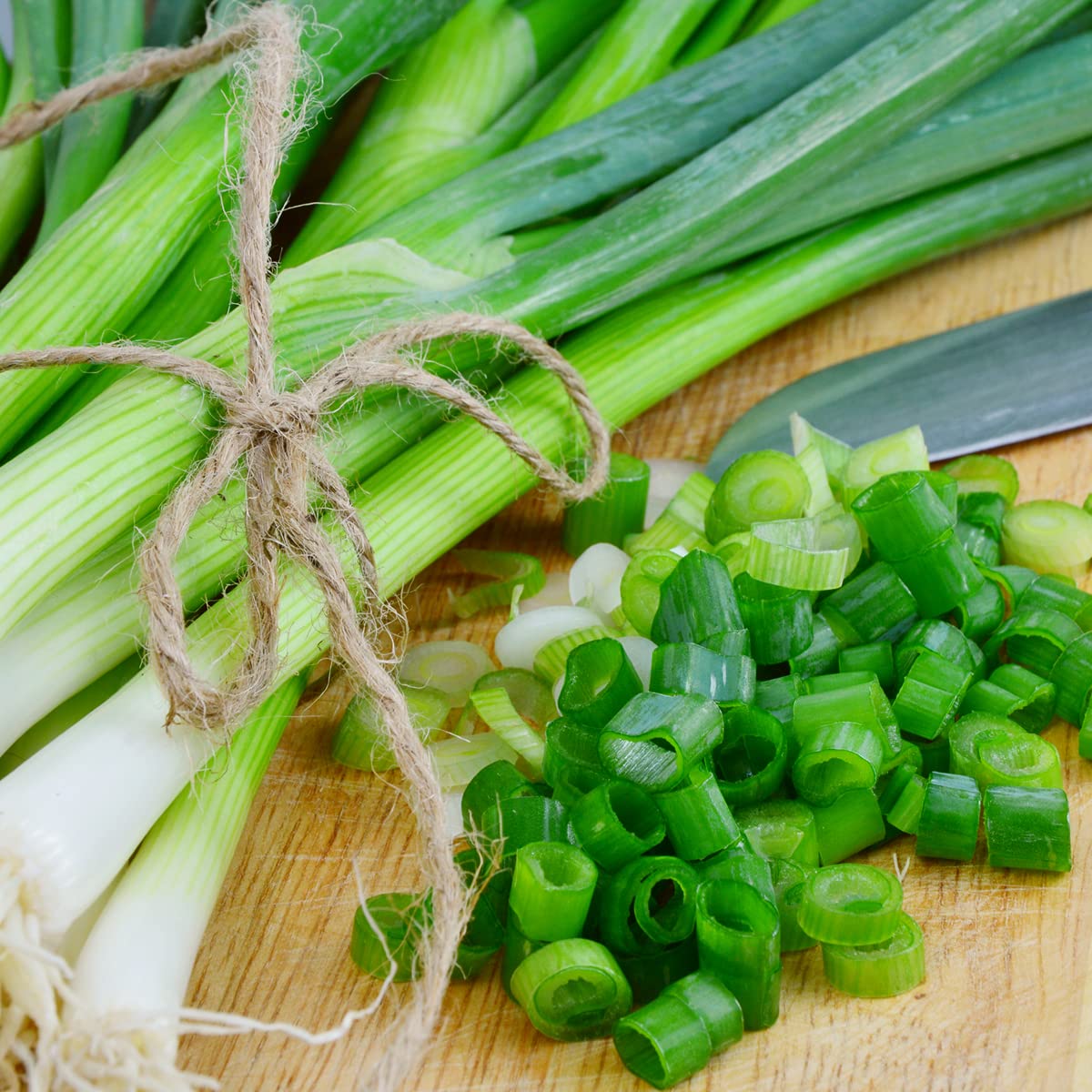 Vegetable Combo Pack - Tomato, Cucumber and Spring Onions - 18 x Plug Plant Pack