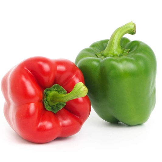 Sweet Pepper 'Bellboy' - 12 x Plug Plant Pack - AcquaGarden