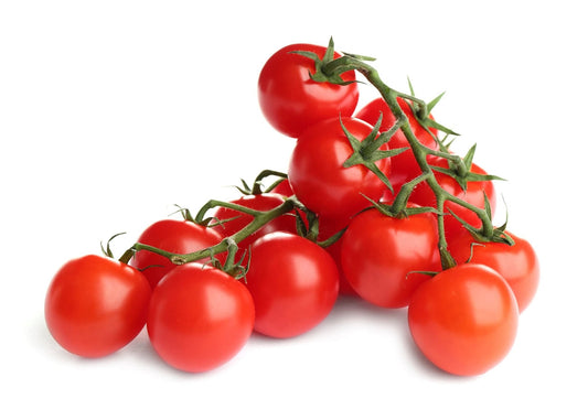 Tomato 'Gardeners Delight' - 6 x Plug Plant Pack - AcquaGarden