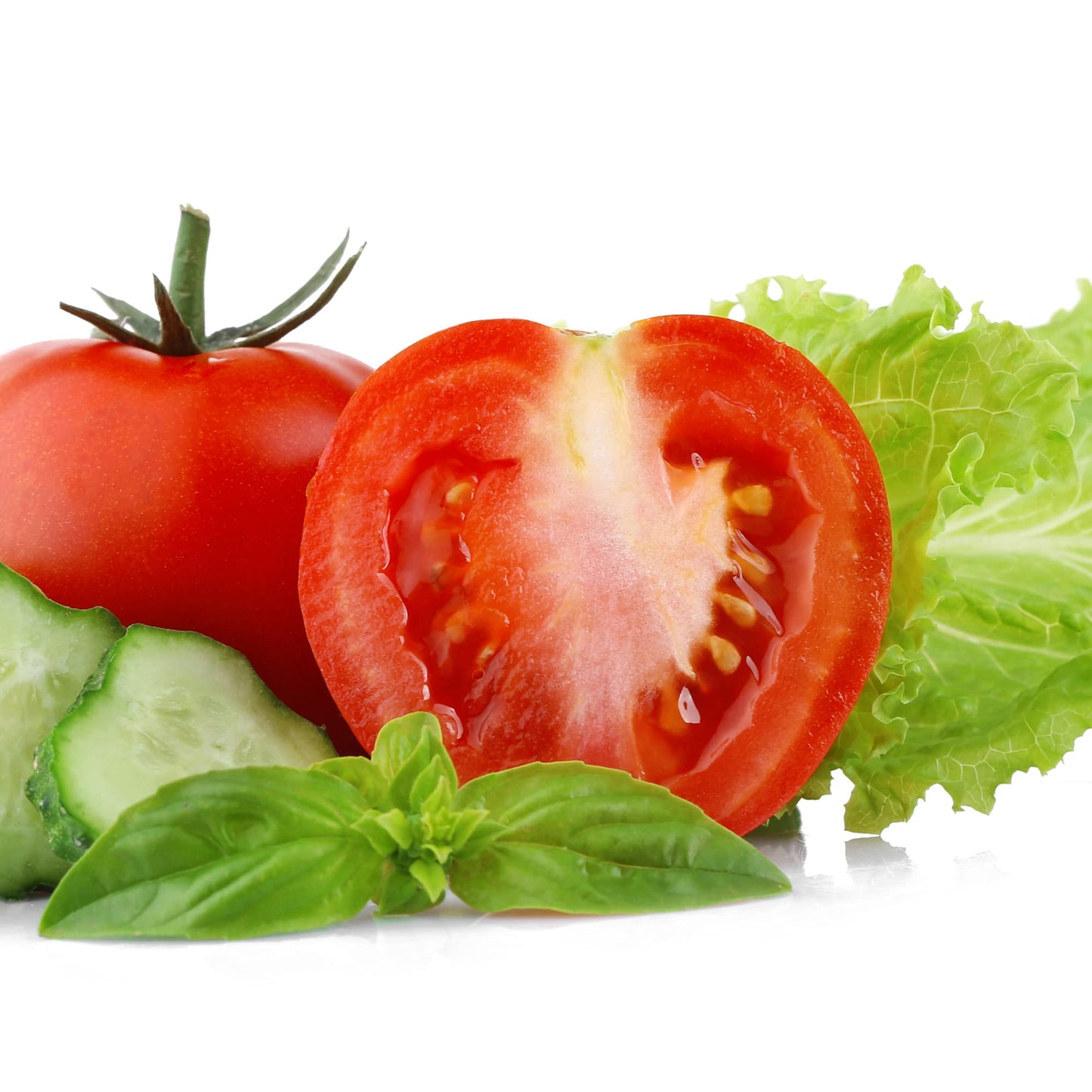 Tomato 'Moneymaker' - 6 x Plug Plant Pack - AcquaGarden