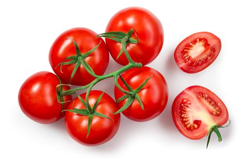 Tomato 'Sweet and Neat' - 3 x Plants in 9cm Pots - AcquaGarden