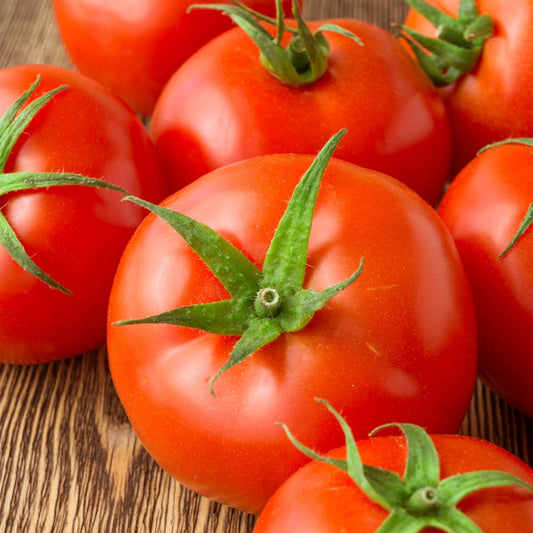 Vegetable Combo Pack - Tomato, Cucumber and Spring Onions - 18 x Plug Plant Pack