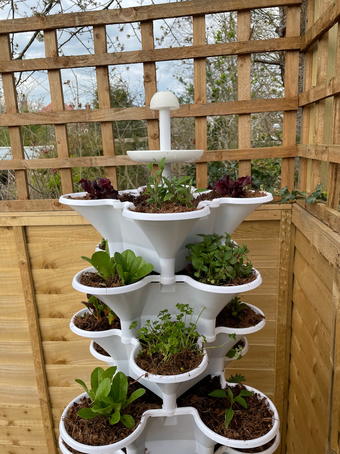 Acqua Garden 2 - 'Garden in a Box' - Automated Solar Powered Self-Watering Vertical Growing System