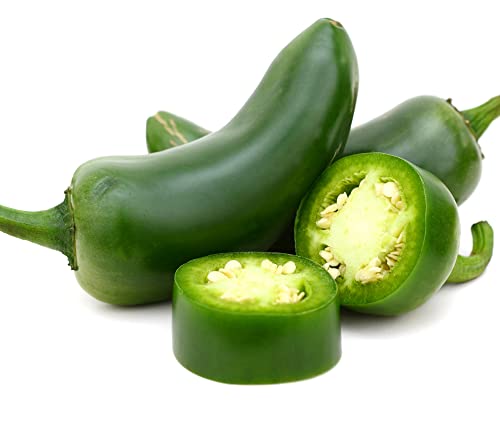 Chilli Plants 'Giant Jalapeño' - 2 x Plug Plant Pack