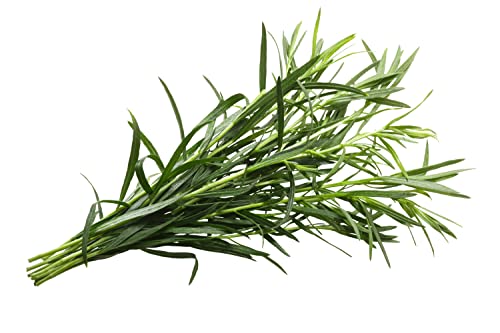 Herb Plants - Tarragon - 1 x Full Plant in 9cm Pot