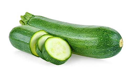 Vegetable Plants - Courgette 'Ambassador' - Garden Ready - 1 x Full Plant in a 9cm Pot