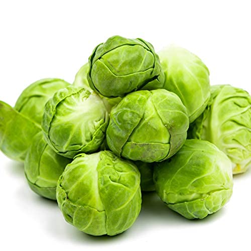 Brussels Sprouts 'Trafalgar' - 18 x Plug Plant Pack