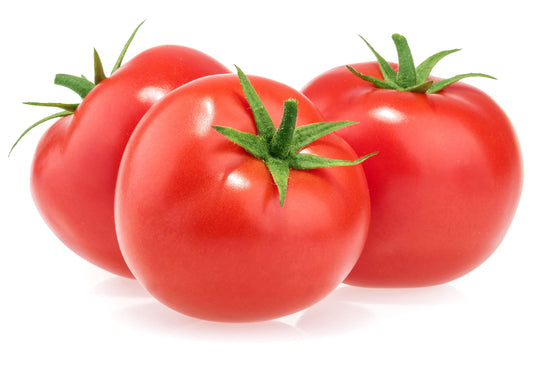 Tomato Plant Combo Pack - 'Gardener's Delight. and 'Moneymaker' - 6 x Full Plants in 9cm Pots