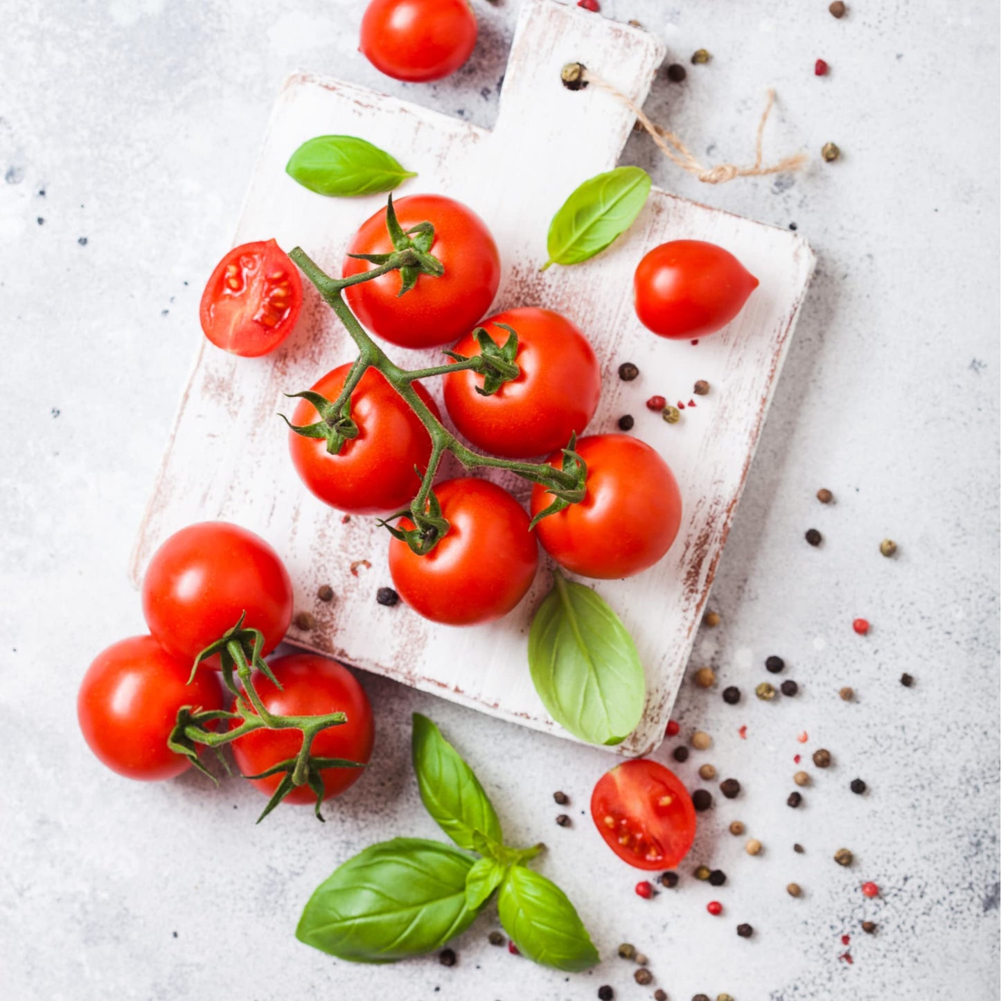 Tomato 'Gardeners Delight' - 2 x Full Plants in 9cm Pots