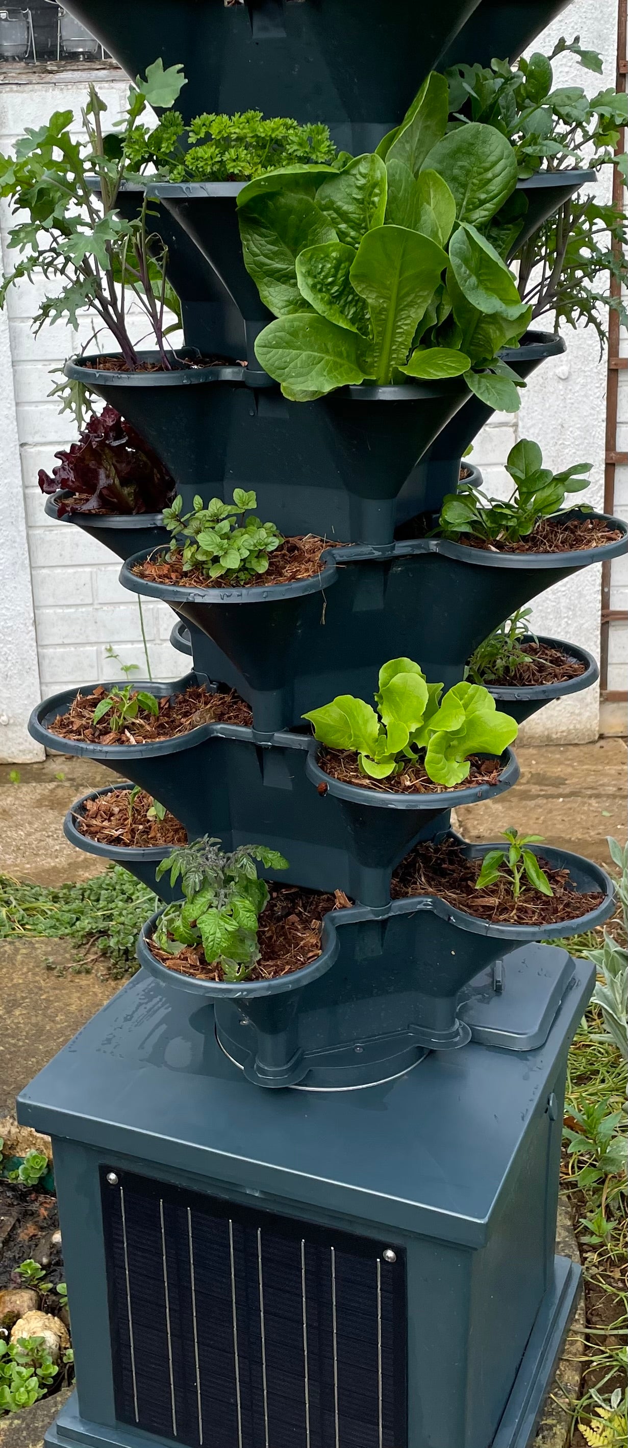 Acqua Garden 2 - Automated Solar Powered Self-Watering Vertical Growing System - 'Garden in a Box'