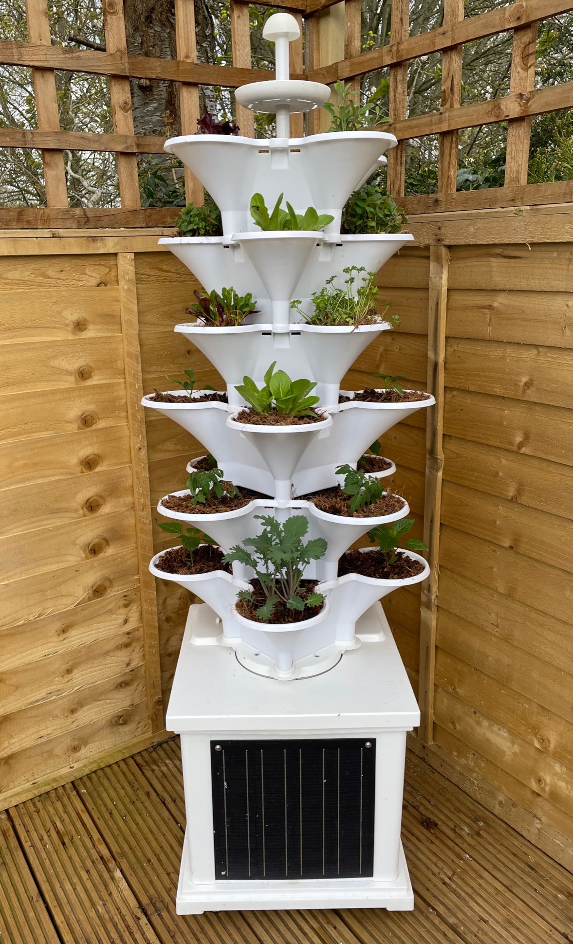 Acqua Garden 2 - Automated Solar Powered Self-Watering Vertical Growing System - 'Garden in a Box'