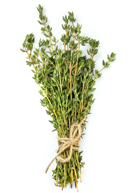 Herb Plants - English Thyme - 2 x Full Plants in 9cm Pots